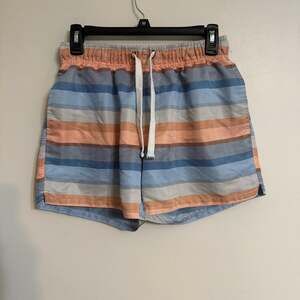 Evolve Men’s‎ Stripe Swim Suit Shorts